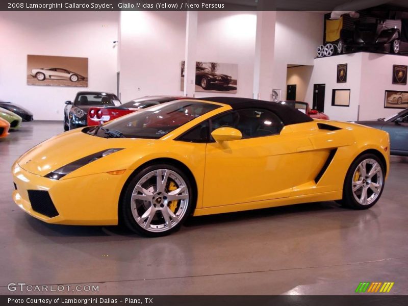 Giallo Midas (Yellow) / Nero Perseus 2008 Lamborghini Gallardo Spyder