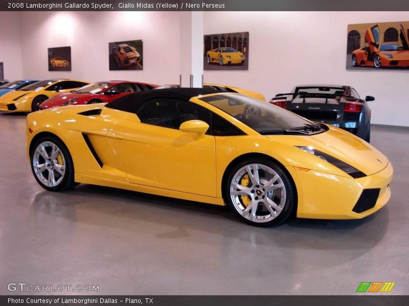 Giallo Midas (Yellow) / Nero Perseus 2008 Lamborghini Gallardo Spyder