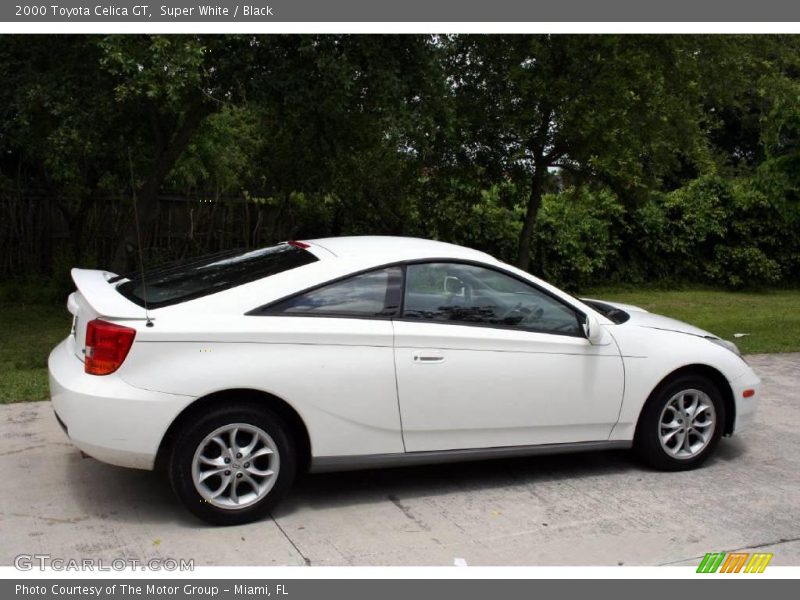 Super White / Black 2000 Toyota Celica GT