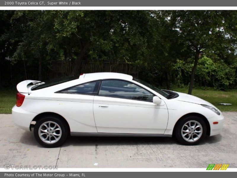 Super White / Black 2000 Toyota Celica GT