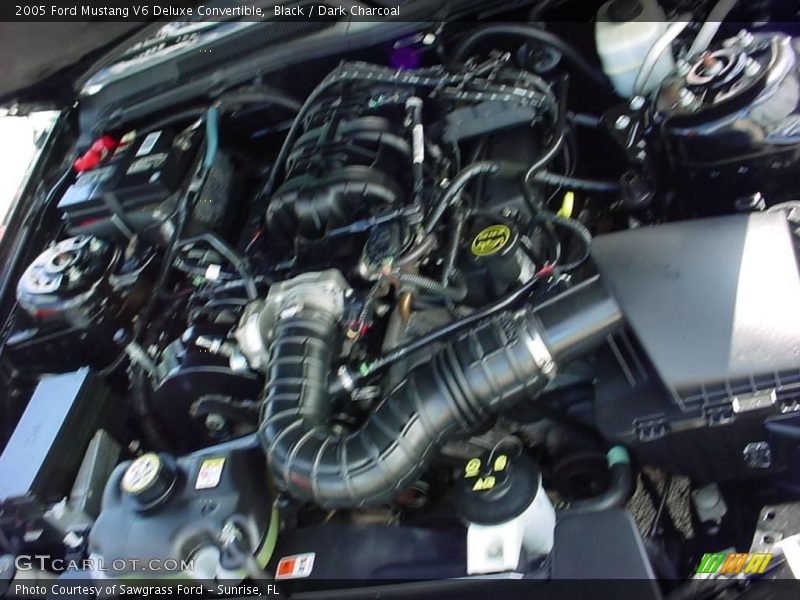 Black / Dark Charcoal 2005 Ford Mustang V6 Deluxe Convertible
