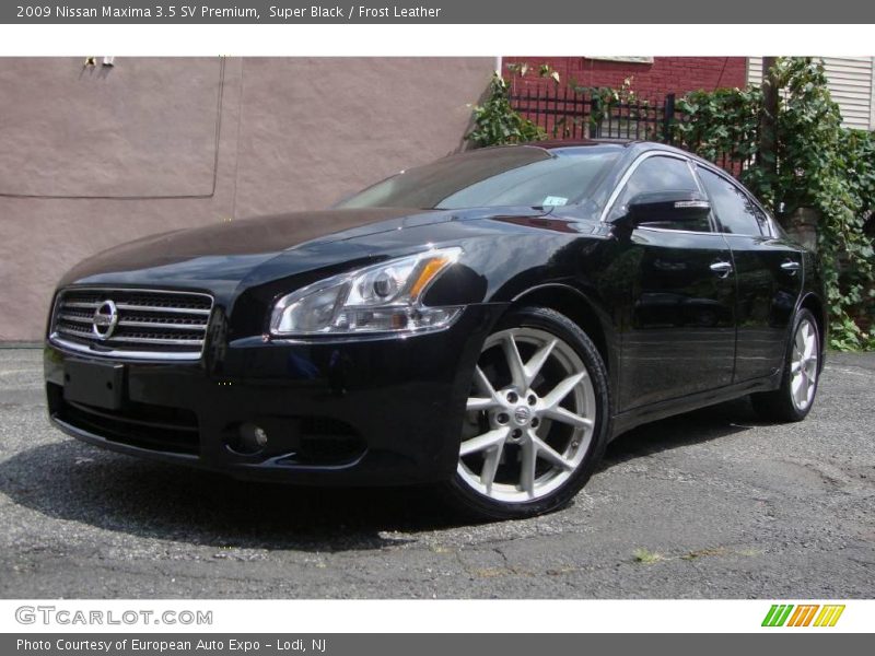 Super Black / Frost Leather 2009 Nissan Maxima 3.5 SV Premium
