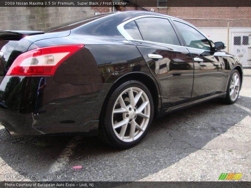 Super Black / Frost Leather 2009 Nissan Maxima 3.5 SV Premium