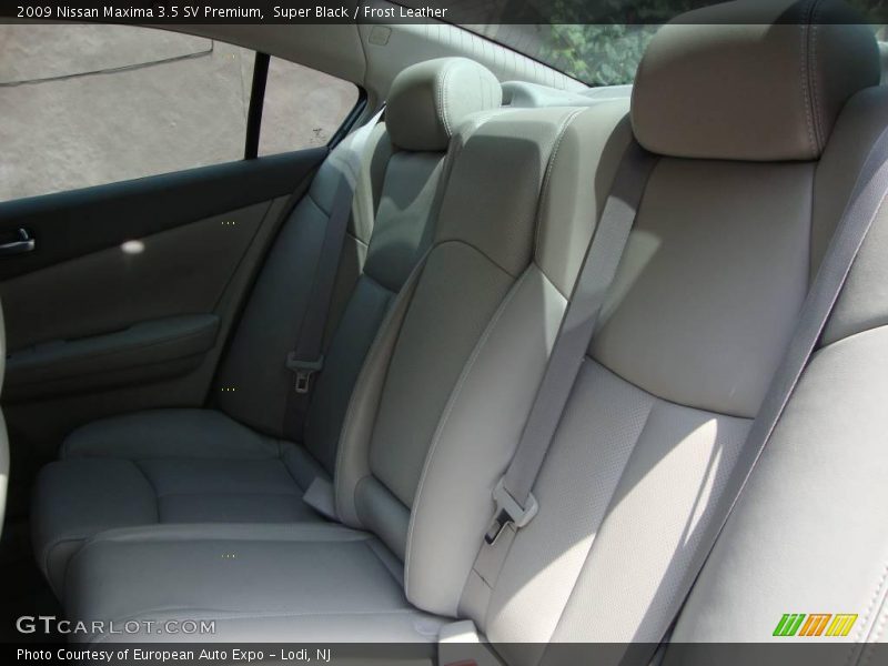 Super Black / Frost Leather 2009 Nissan Maxima 3.5 SV Premium