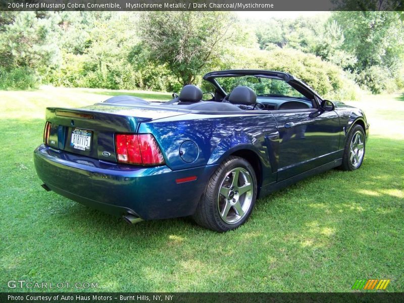 Mystichrome Metallic / Dark Charcoal/Mystichrome 2004 Ford Mustang Cobra Convertible
