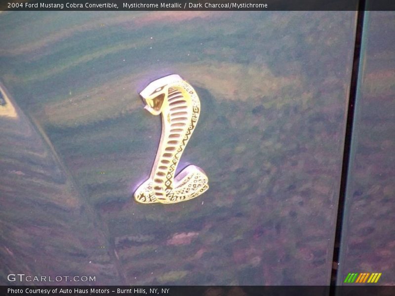 Cobra - 2004 Ford Mustang Cobra Convertible