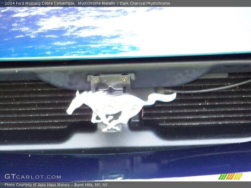 Pony - 2004 Ford Mustang Cobra Convertible