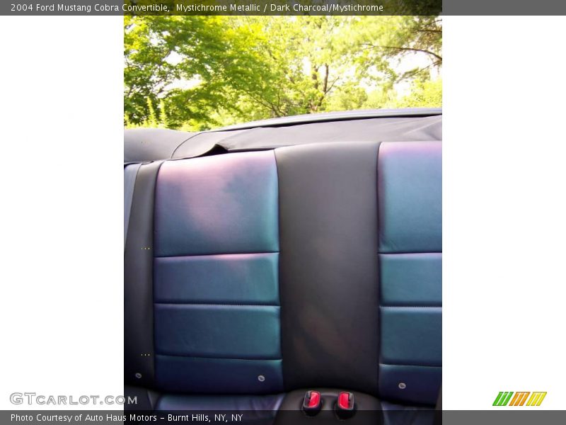 Rear Seat of 2004 Mustang Cobra Convertible