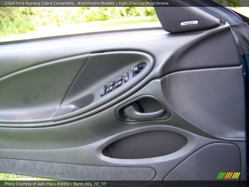 Door Panel of 2004 Mustang Cobra Convertible