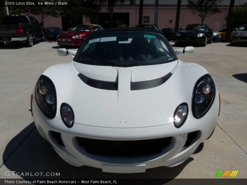 Ice White / Black 2009 Lotus Elise