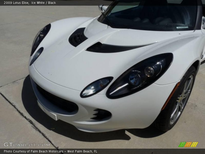 Ice White / Black 2009 Lotus Elise