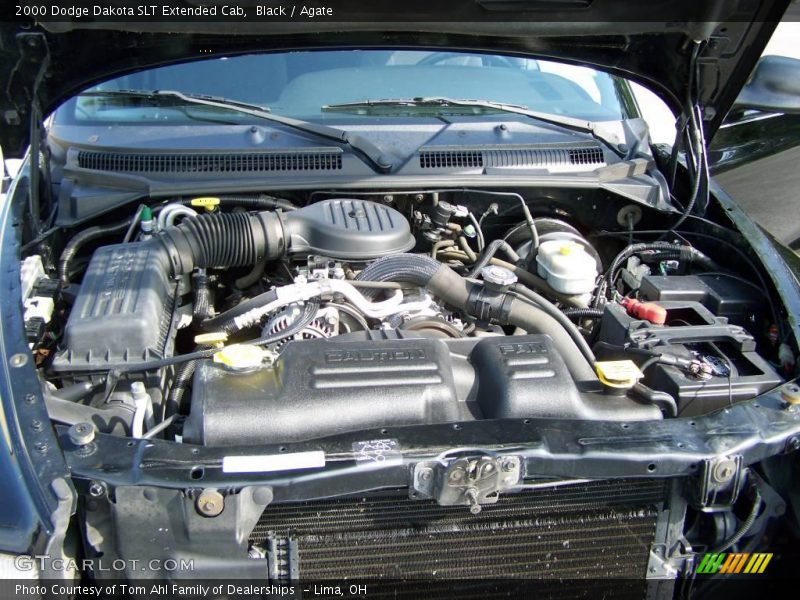 Black / Agate 2000 Dodge Dakota SLT Extended Cab