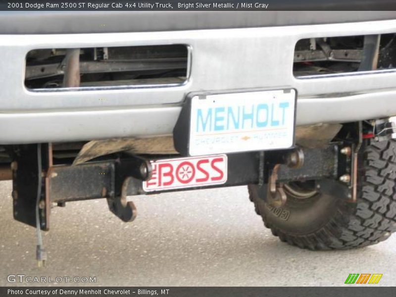 Bright Silver Metallic / Mist Gray 2001 Dodge Ram 2500 ST Regular Cab 4x4 Utility Truck