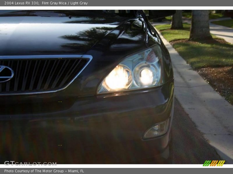 Flint Gray Mica / Light Gray 2004 Lexus RX 330