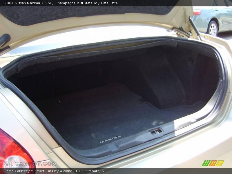 Champagne Mist Metallic / Cafe Latte 2004 Nissan Maxima 3.5 SE