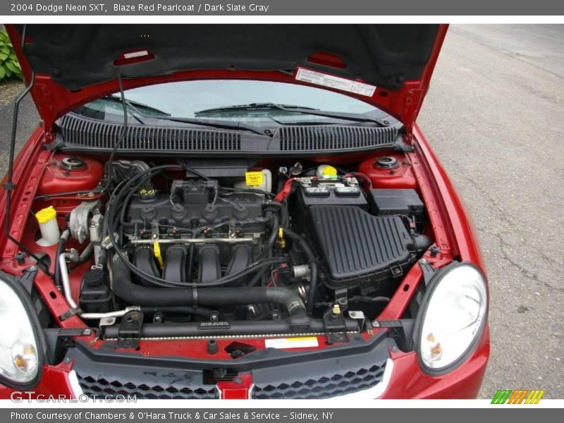 Blaze Red Pearlcoat / Dark Slate Gray 2004 Dodge Neon SXT