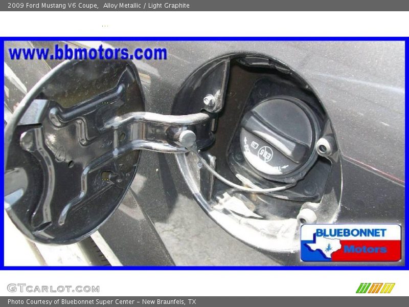 Alloy Metallic / Light Graphite 2009 Ford Mustang V6 Coupe