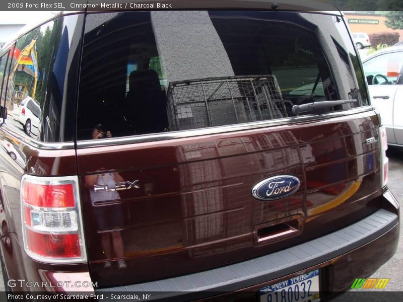 Cinnamon Metallic / Charcoal Black 2009 Ford Flex SEL