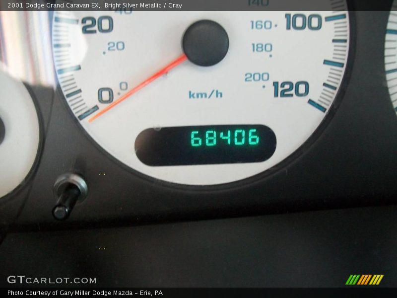 Bright Silver Metallic / Gray 2001 Dodge Grand Caravan EX
