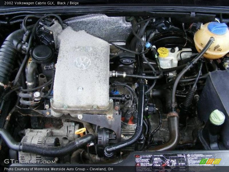 Black / Beige 2002 Volkswagen Cabrio GLX