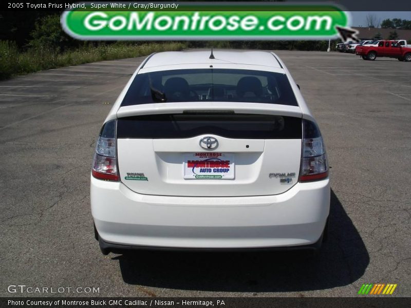 Super White / Gray/Burgundy 2005 Toyota Prius Hybrid