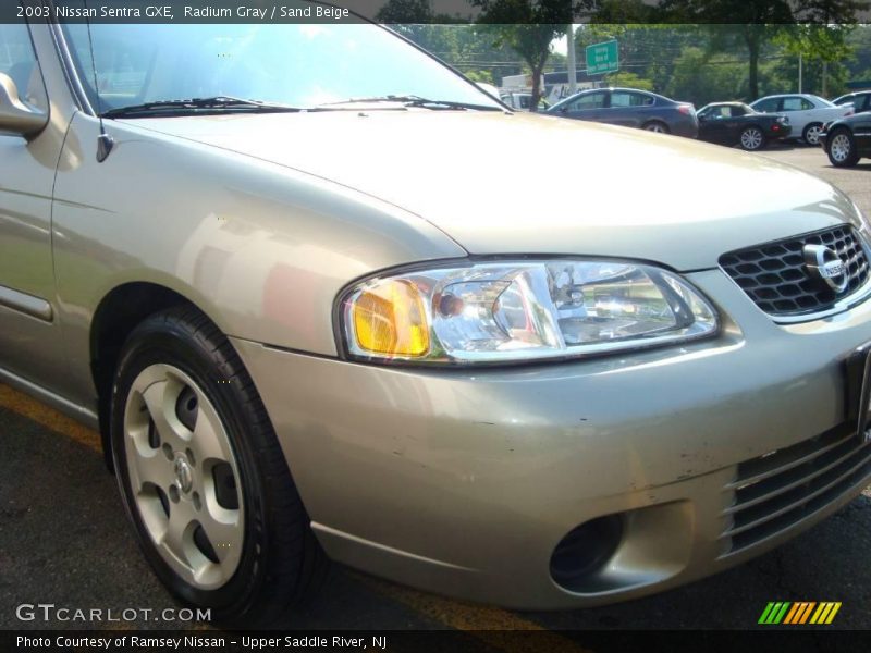Radium Gray / Sand Beige 2003 Nissan Sentra GXE