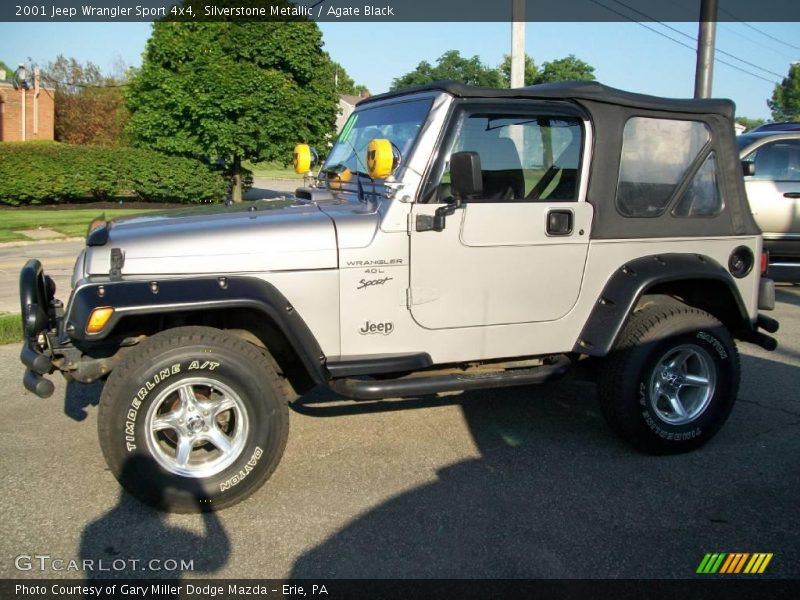 Silverstone Metallic / Agate Black 2001 Jeep Wrangler Sport 4x4
