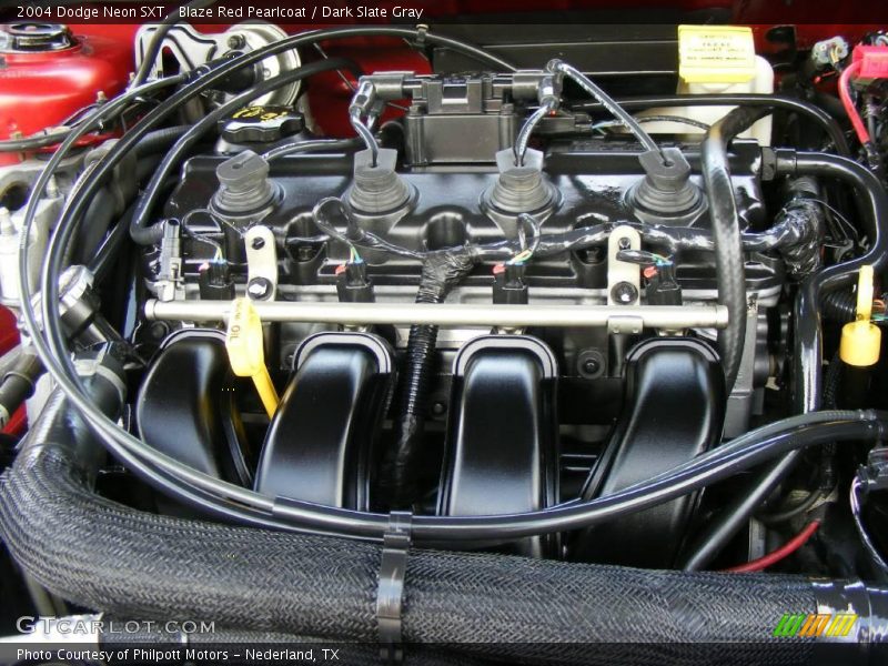 Blaze Red Pearlcoat / Dark Slate Gray 2004 Dodge Neon SXT