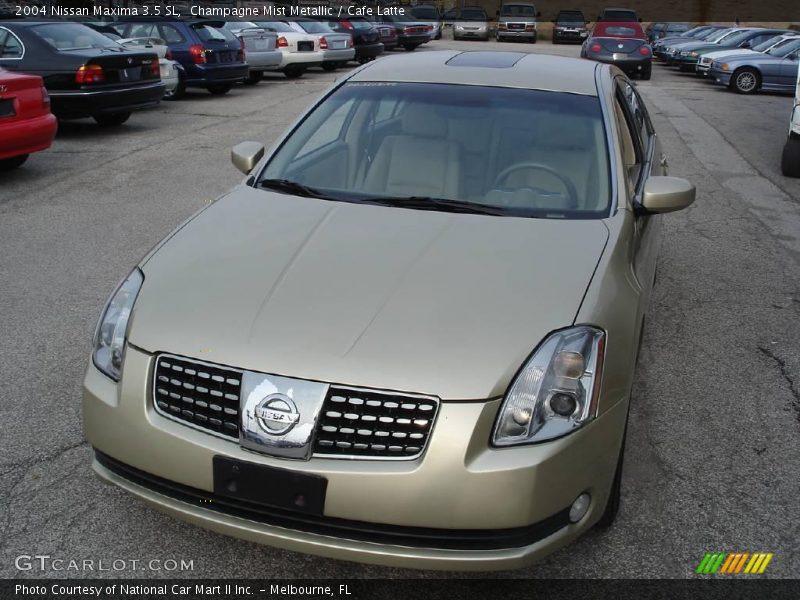Champagne Mist Metallic / Cafe Latte 2004 Nissan Maxima 3.5 SL