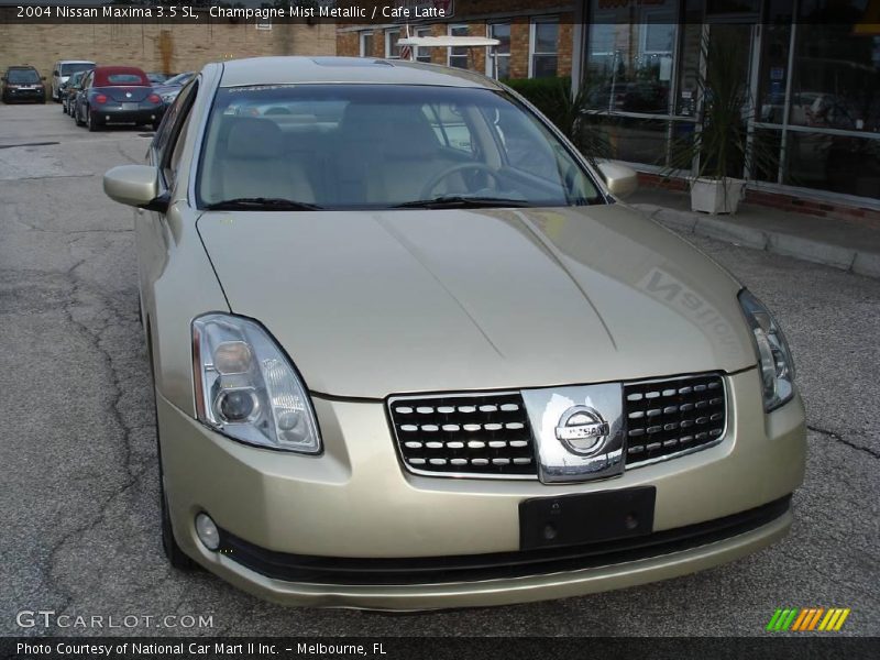 Champagne Mist Metallic / Cafe Latte 2004 Nissan Maxima 3.5 SL