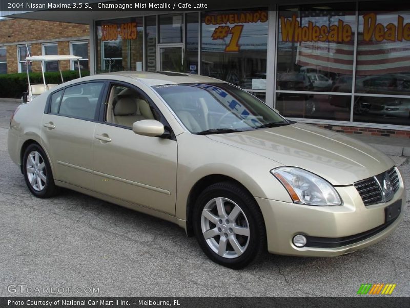 Champagne Mist Metallic / Cafe Latte 2004 Nissan Maxima 3.5 SL