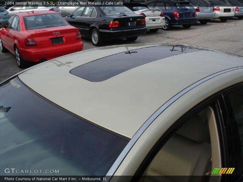 Champagne Mist Metallic / Cafe Latte 2004 Nissan Maxima 3.5 SL