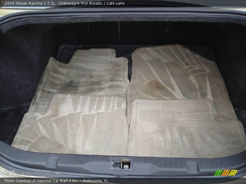 Champagne Mist Metallic / Cafe Latte 2004 Nissan Maxima 3.5 SL