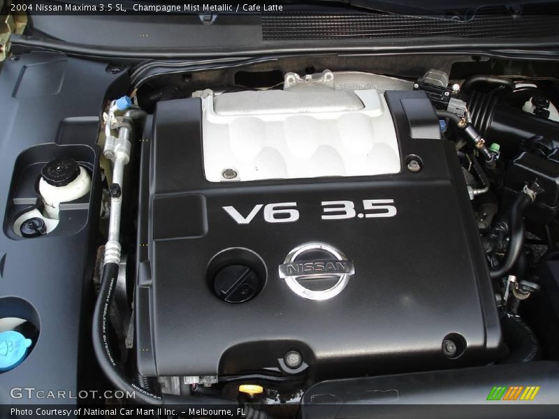 Champagne Mist Metallic / Cafe Latte 2004 Nissan Maxima 3.5 SL