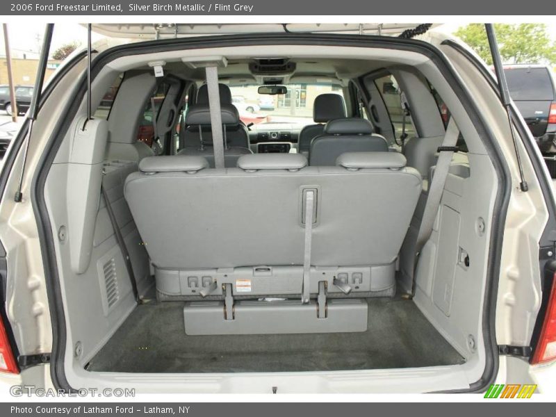 Silver Birch Metallic / Flint Grey 2006 Ford Freestar Limited