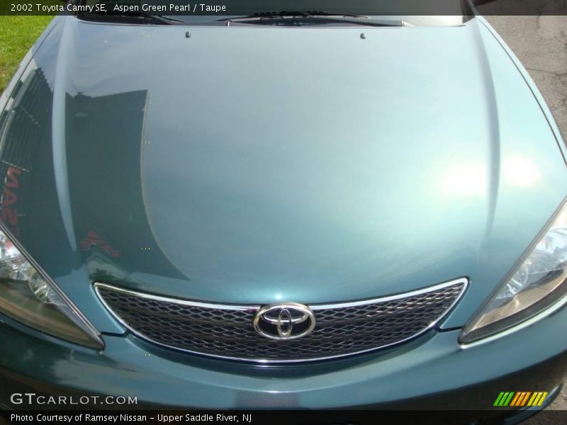 Aspen Green Pearl / Taupe 2002 Toyota Camry SE