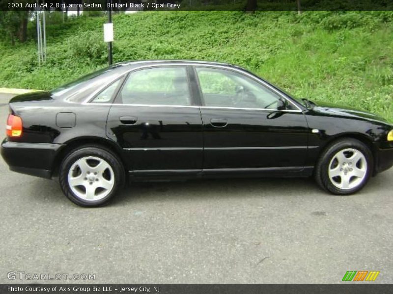 Brilliant Black / Opal Grey 2001 Audi A4 2.8 quattro Sedan