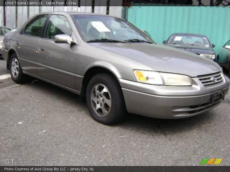 Sable Pearl / Gray 1999 Toyota Camry LE