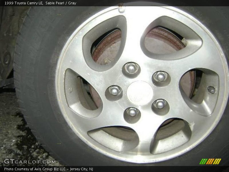Sable Pearl / Gray 1999 Toyota Camry LE