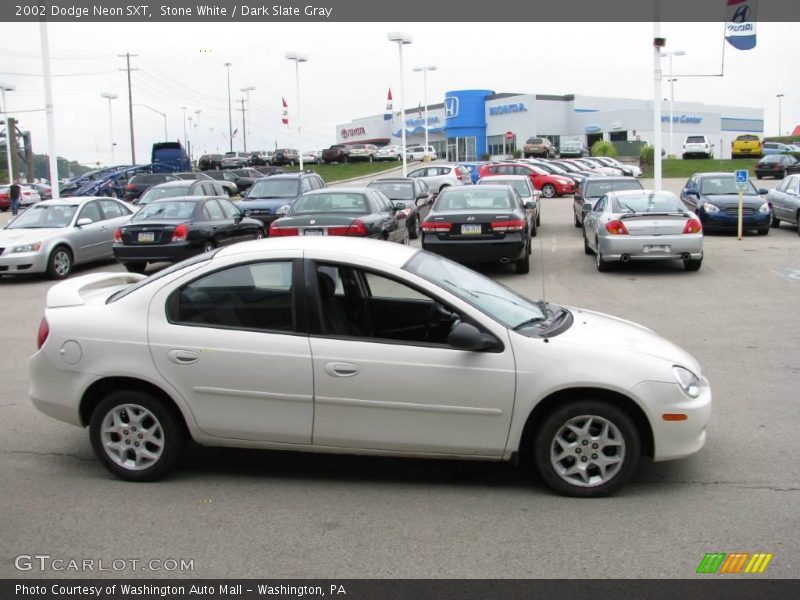 Stone White / Dark Slate Gray 2002 Dodge Neon SXT