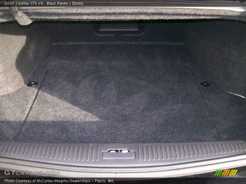 Black Raven / Ebony 2005 Cadillac STS V6