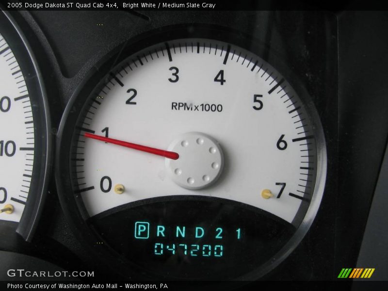 Bright White / Medium Slate Gray 2005 Dodge Dakota ST Quad Cab 4x4