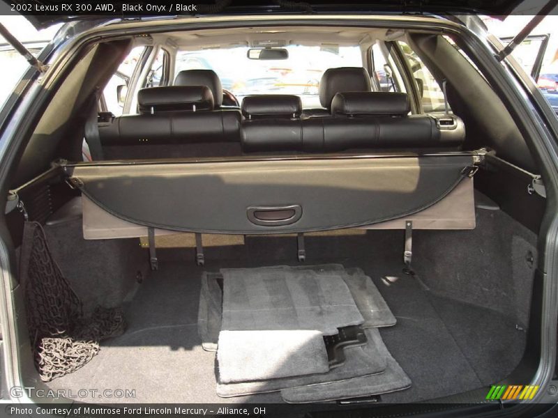 Black Onyx / Black 2002 Lexus RX 300 AWD