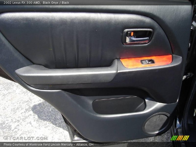 Black Onyx / Black 2002 Lexus RX 300 AWD