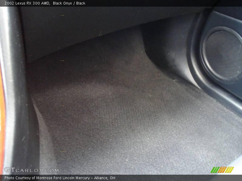 Black Onyx / Black 2002 Lexus RX 300 AWD