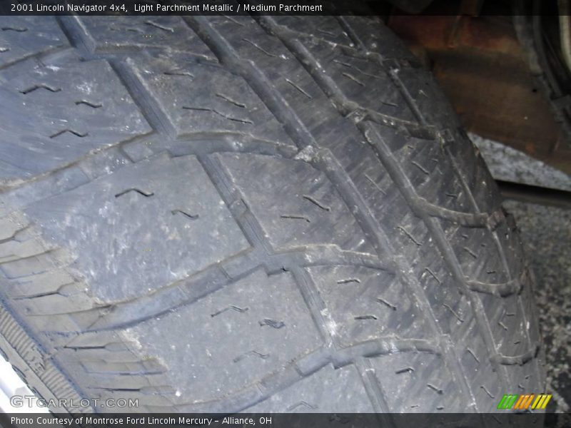 Light Parchment Metallic / Medium Parchment 2001 Lincoln Navigator 4x4
