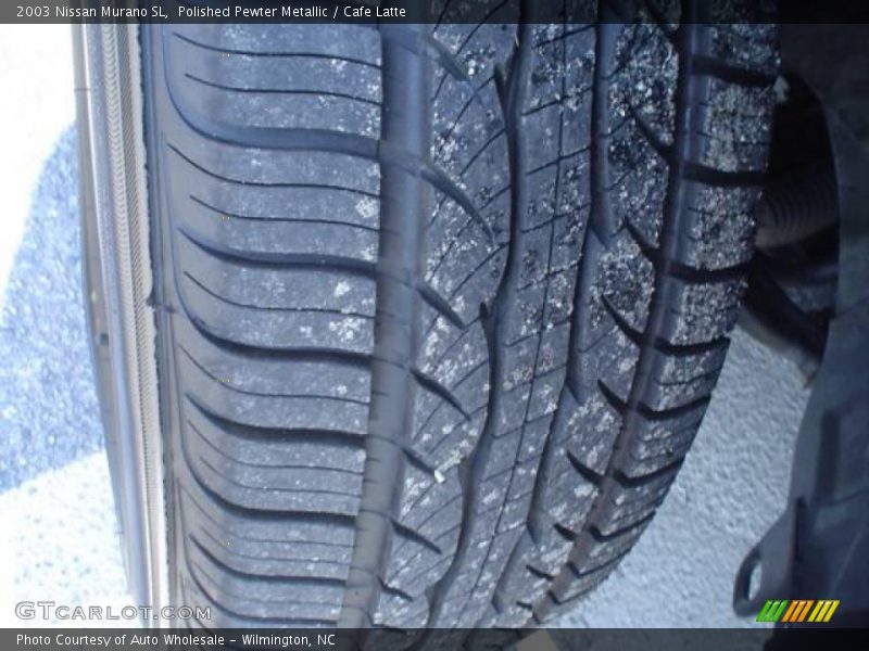 Polished Pewter Metallic / Cafe Latte 2003 Nissan Murano SL