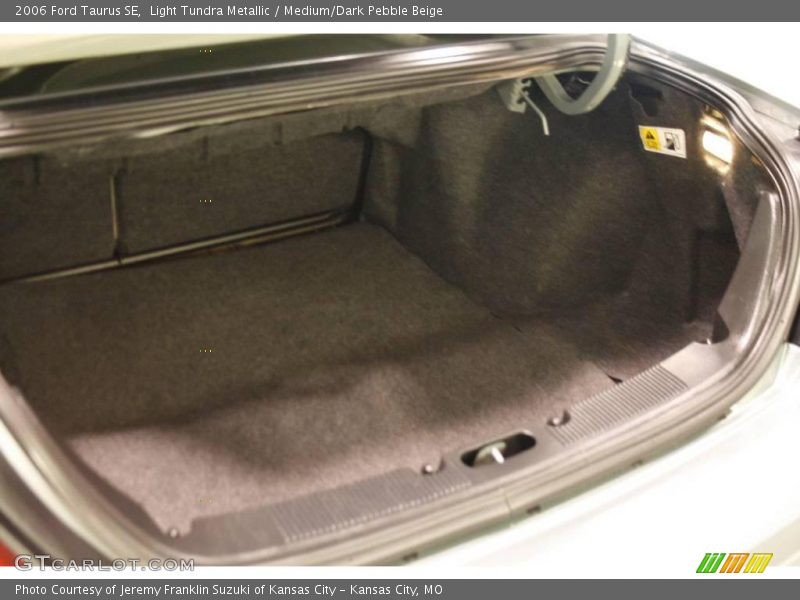 Light Tundra Metallic / Medium/Dark Pebble Beige 2006 Ford Taurus SE