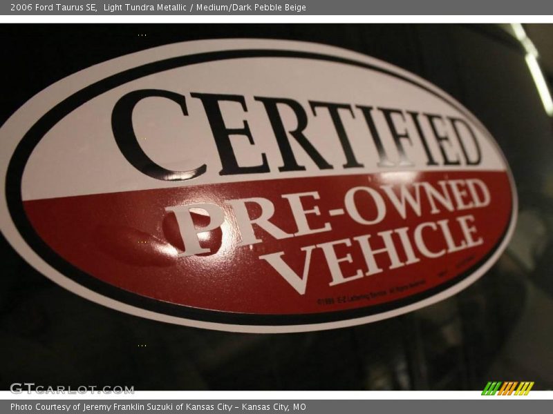 Light Tundra Metallic / Medium/Dark Pebble Beige 2006 Ford Taurus SE