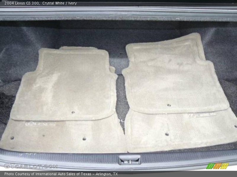 Crystal White / Ivory 2004 Lexus GS 300